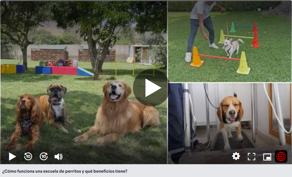 Adiestramiento de Perros en Lima en América TV