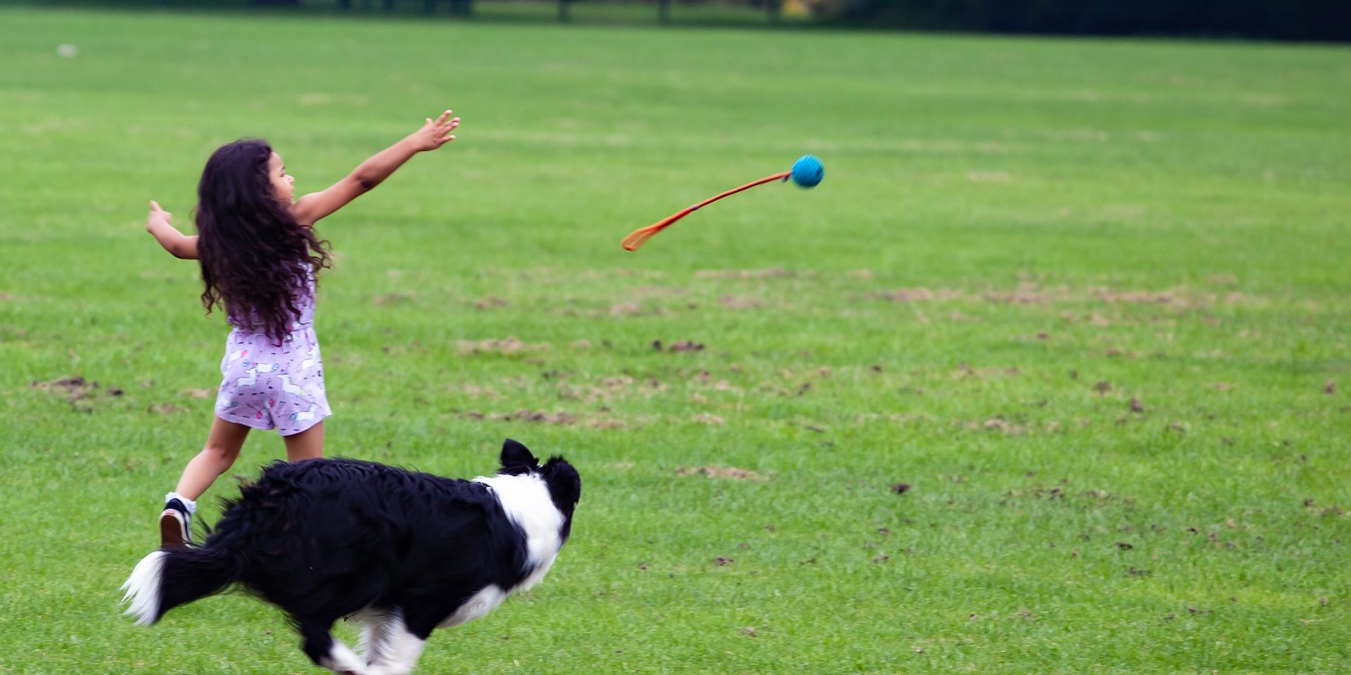 foto de reglas de oro para disfrutar del paseo con tu perro