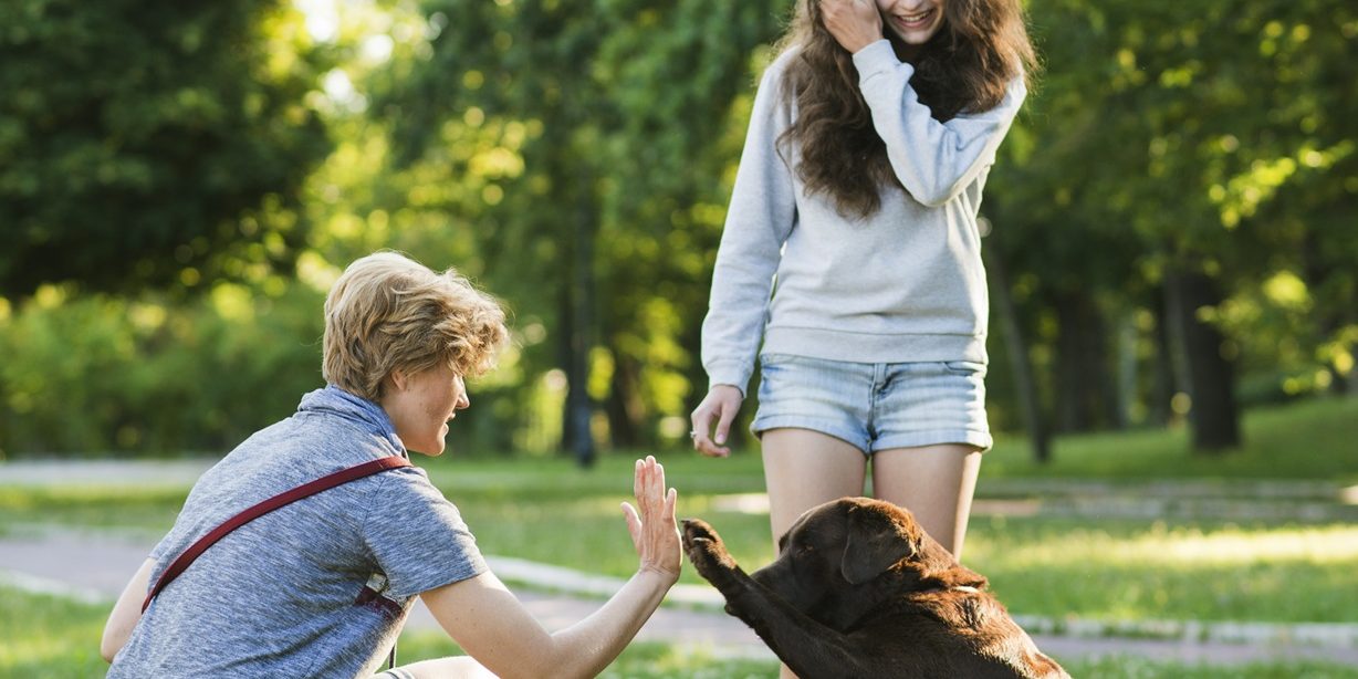 ADIESTRAMIENTO DE PERROS EN LIMA CONSEJOS PARA PRINCIPIANTES